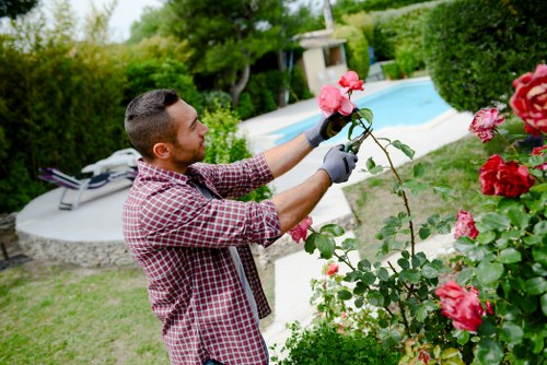 Close-up of hedge trimmers and freshly cut branches